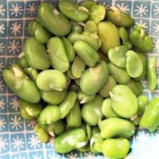 تصویر 4 از خرید اینترنتی کنسرو باقلا سبز 420 گرمی + قیمت باور نکردنی